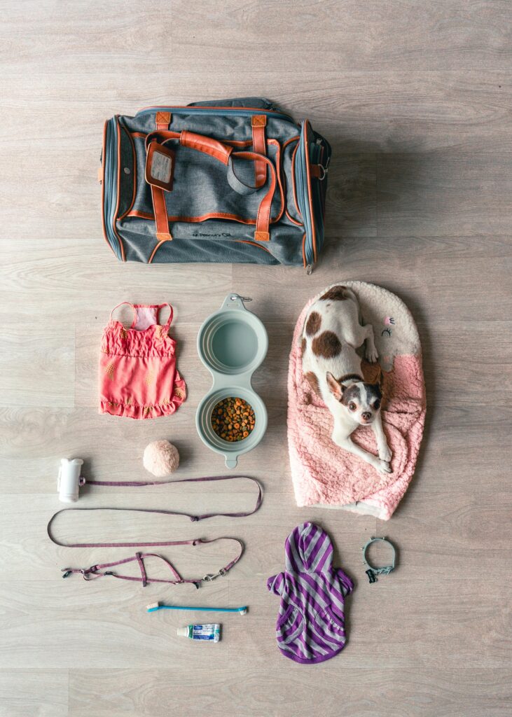 pexels-photo-3981763-3981763-1 Flat lay of Chihuahua travel essentials, including bag, food, and accessories.